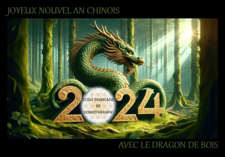 Nouvel An Chinois 2024