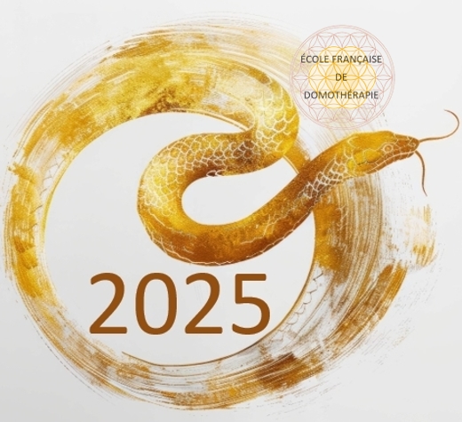 Nouvel An Chinois 2025